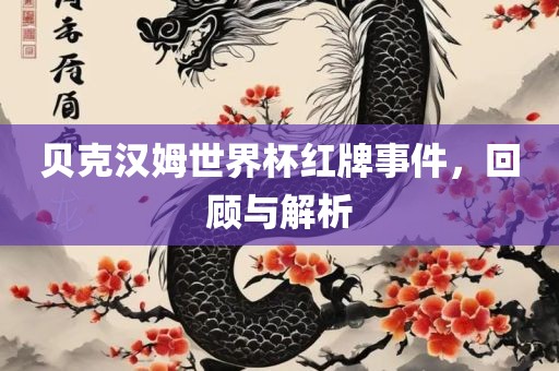 贝克汉姆世界杯红牌事件，回顾与解析眉山市正发家政服务有限公司