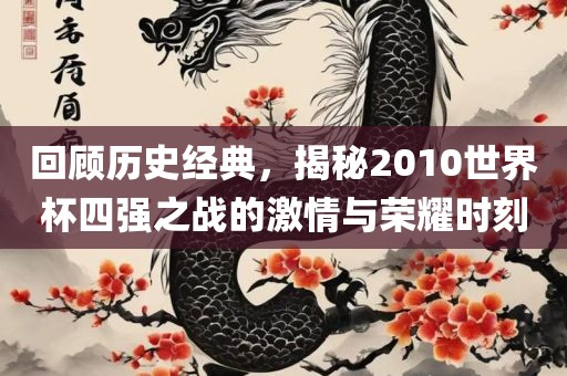 回顾历史经典，揭秘2010世界杯四强之战的激情与荣耀时刻眉山市正发家政服务有限公司