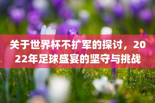 眉山市正发家政服务有限公司关于世界杯不扩军的探讨，2022年足球盛宴的坚守与挑战