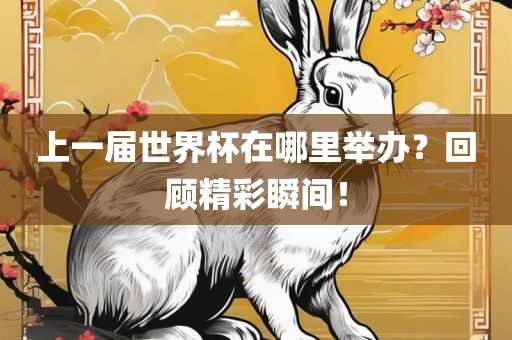 上一届世界杯在哪里举办？回顾精彩瞬间！