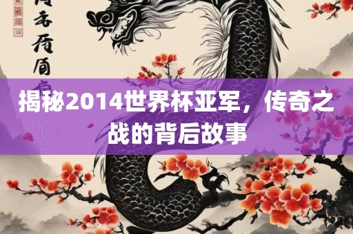 揭秘2014世界杯亚军，传奇之战的背后故事