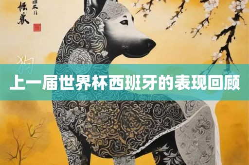 上一届世界杯西班牙的表现回顾眉山市正发家政服务有限公司