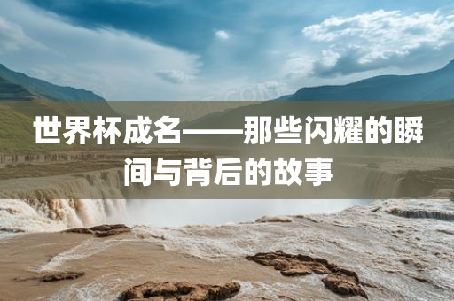 linwanting 第11页
