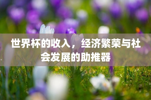 世界杯的收入，经济繁荣与社会发展的助推器