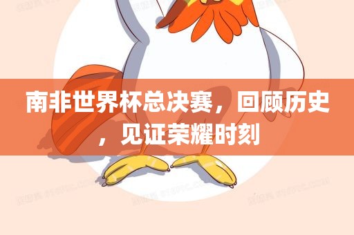 南非世界杯总决赛，回顾历史，见证荣耀时刻眉山市正发家政服务有限公司