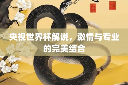 央视世界杯解说，激情与专业的完美结合