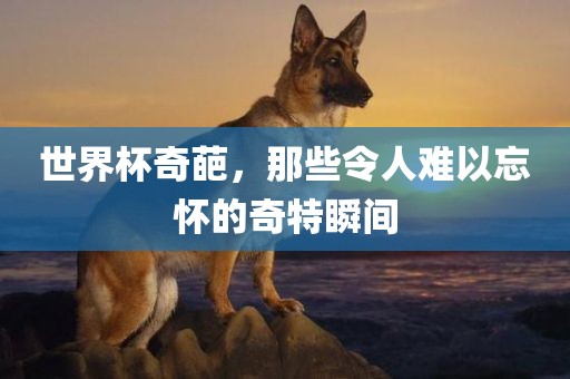 世界杯奇葩，那些令人难以忘怀的奇特瞬间眉山市正发家政服务有限公司