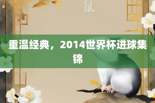 重温经典，2014世界杯进球集锦眉山市正发家政服务有限公司