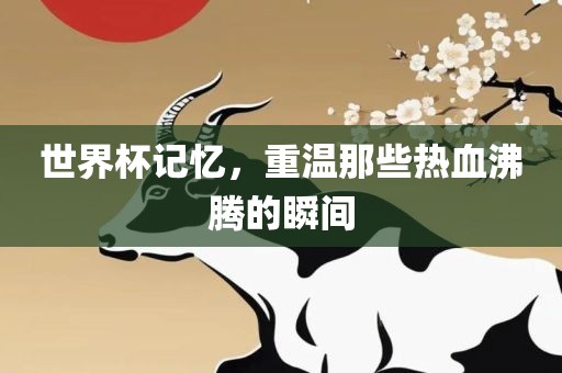 世界杯记忆