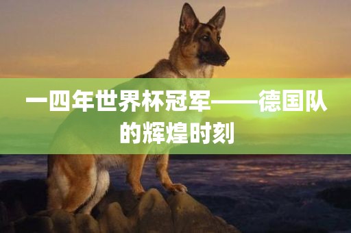 一四年世界杯冠军——德国队的辉煌时刻眉山市正发家政服务有限公司