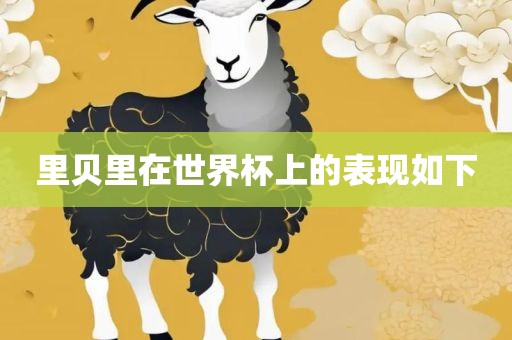 里贝里在世界杯上的表现如下眉山市正发家政服务有限公司