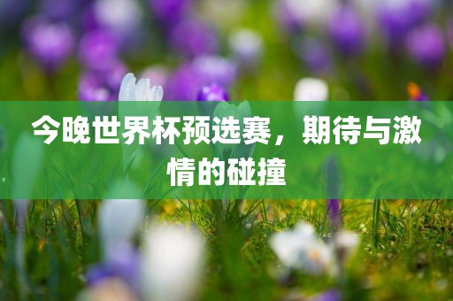 今晚世界杯眉山市正发家政服务有限公司预选赛，期待与激情的碰撞