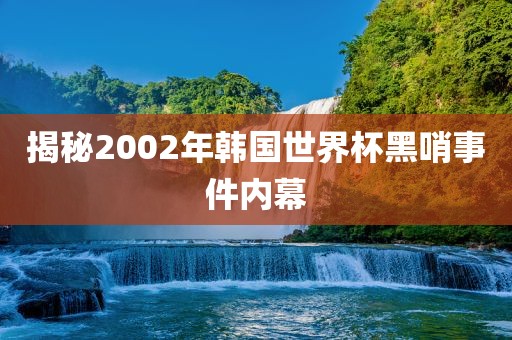 揭秘2002年韩国世界杯黑哨事件内幕