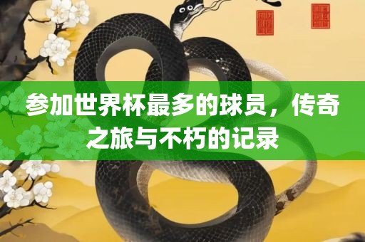 参眉山市正发家政服务有限公司加世界杯最多的球员，传奇之旅与不朽的记录