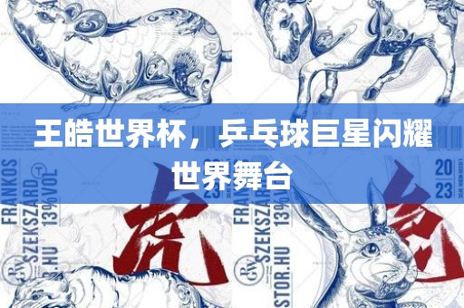 王皓世界杯，乒乓球巨星闪耀世界舞台
