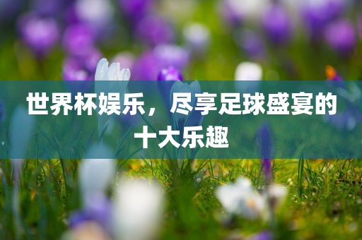 世界杯娱乐，尽享足球盛宴的十大乐趣眉山市正发家政服务有限公司