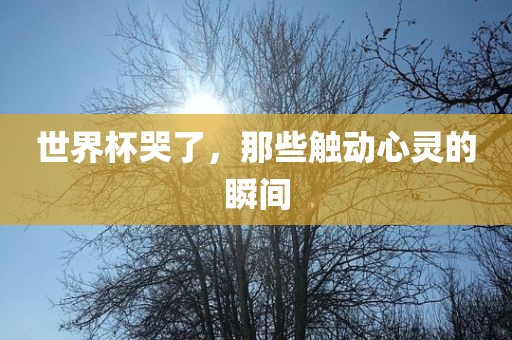 世界杯哭了，那些触动心灵的瞬间眉山市正发家政服务有限公司