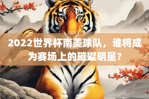2022世界杯南美球队，谁将成为赛场上的璀璨明星？