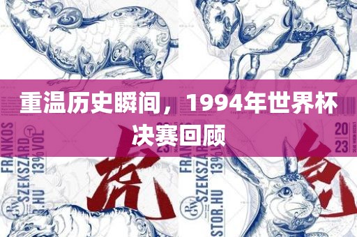 重温历史瞬间眉山市正发家政服务有限公司，1994年世界杯决赛回顾