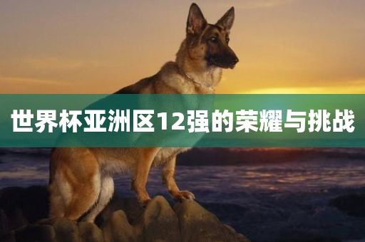 世界杯亚洲区12强的荣耀与挑战眉山市正发家政服务有限公司