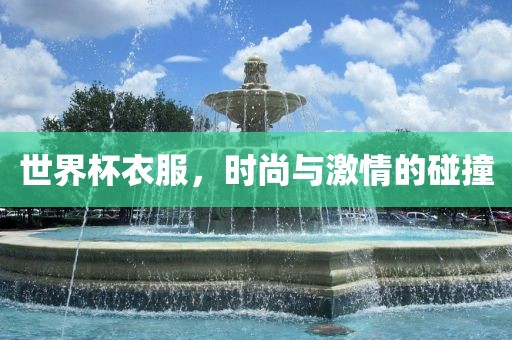 世界杯衣服，时尚与激情的碰撞