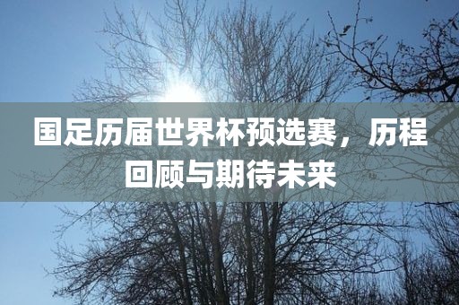 国足历届世界杯预选赛，历程回顾与期待未来