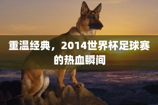 重温经典，2014世界杯足球赛的热血瞬间