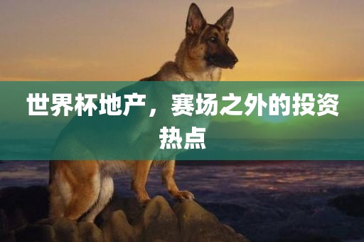 世界杯地产，赛场之外的投资热点眉山市正发家政服务有限公司