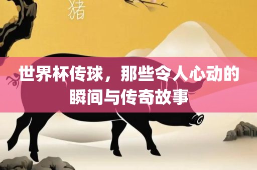 世界杯传球，那些令人心动的瞬间与传奇故事眉山市正发家政服务有限公司