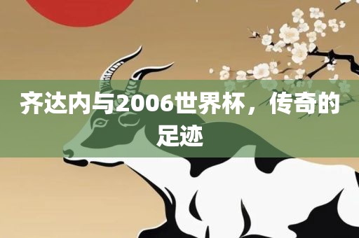 齐达内与2006世界杯，传奇的足迹