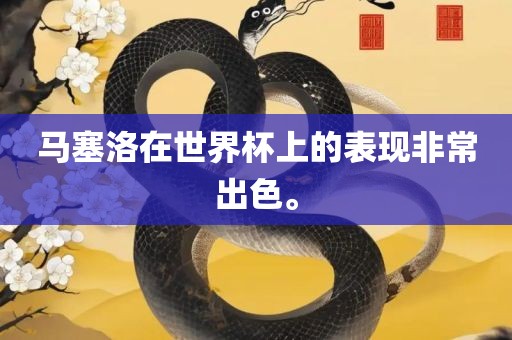 马塞洛在世界杯上的表现非常出色。眉山市正发家政服务有限公司