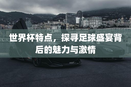 世界杯特点，探寻足球盛宴背后的魅力与激情眉山市正发家政服务有限公司