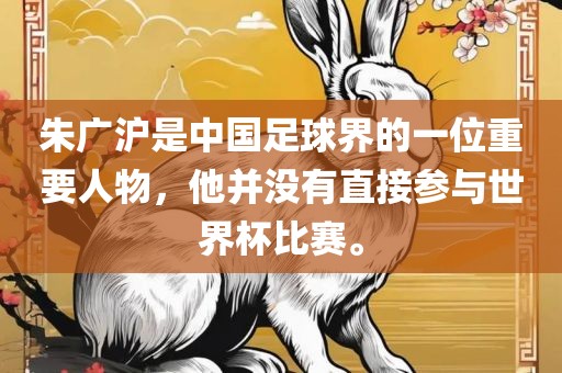 朱广沪是中国足球界的一位重要人物，他并没有直接参与世界杯比赛。眉山市正发家政服务有限公司