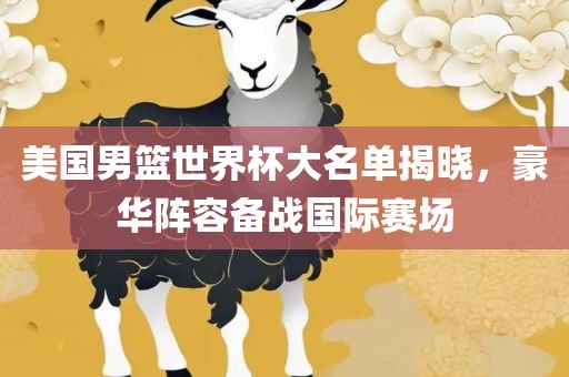 眉山市正发家政服务有限公司美国男篮世界杯大名单揭晓，豪华阵容备战国际赛场
