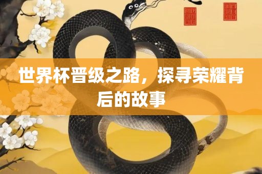 世界杯晋级之路，探寻荣耀背后的故事
