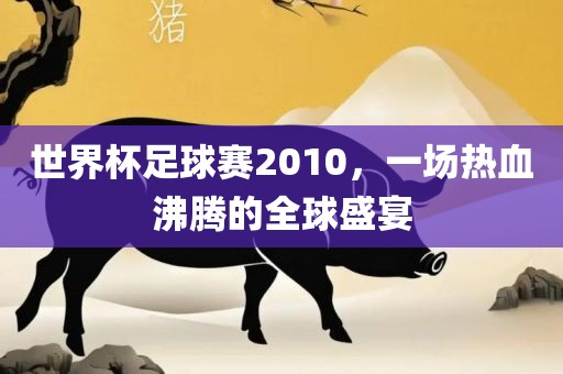 世界杯足球赛2010，一场热血沸腾的全球盛宴眉山市正发家政服务有限公司