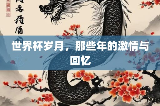 世界杯岁月，那些年的激情与回忆眉山市正发家政服务有限公司
