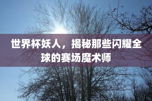 世界杯妖人，揭秘那些闪耀全球的赛场魔术师眉山市正发家政服务有限公司