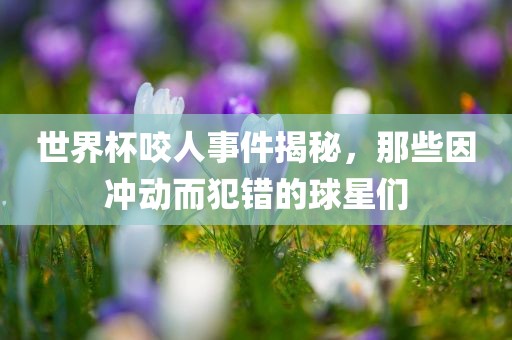 世界杯咬人事件揭秘，那些因冲动而犯错的球星们眉山市正发家政服务有限公司