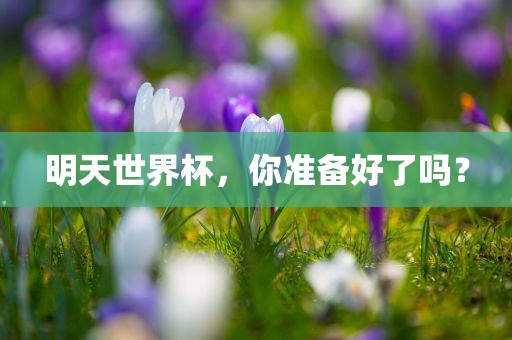 明天世界杯，你准备好了吗？眉山市正发家政服务有限公司
