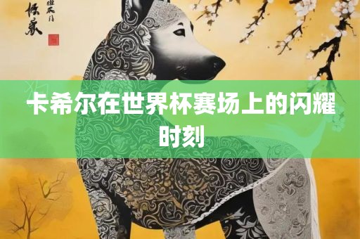 卡希尔在世界杯赛场上的闪耀时刻