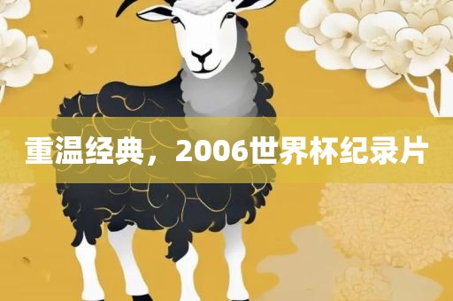 重温经典，2006世界杯纪录片眉山市正发家政服务有限公司