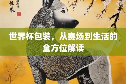 世界杯包装，从赛场到生活的全方位解读眉山市正发家政服务有限公司
