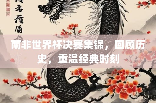南非世界杯决赛集锦，回顾历史，重温经典时刻