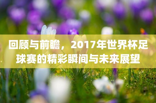 回顾与前瞻，2017年世界杯眉山市正发家政服务有限公司足球赛的精彩瞬间与未来展望