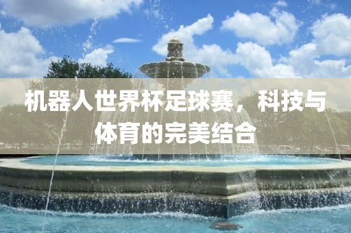 机器人世界杯足球赛，科技与体育的完美结合眉山市正发家政服务有限公司