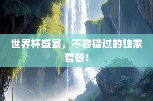 世界杯盛宴，不容错过的独家套餐！眉山市正发家政服务有限公司