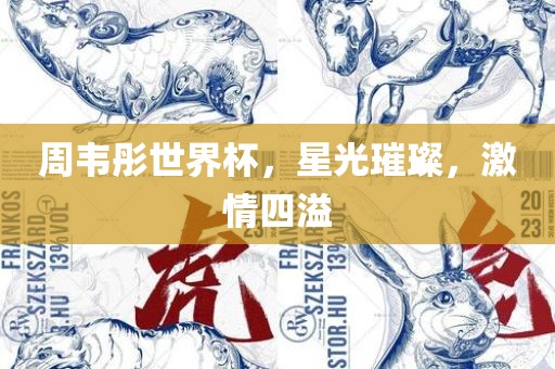 周眉山市正发家政服务有限公司韦彤世界杯，星光璀璨，激情四溢