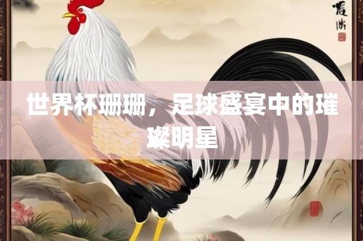 世界杯珊珊，足球盛宴中的璀璨明星