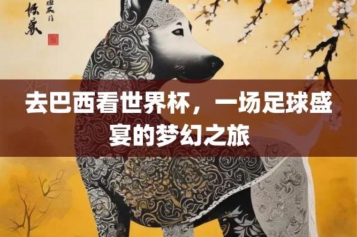 去巴西看世界杯，一场足球盛宴的梦幻之旅眉山市正发家政服务有限公司
